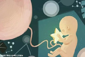 陈若晴 副院长